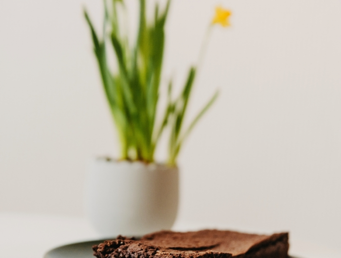 vegane brownies rezept ohne ei schokokuchen ohne schokolade