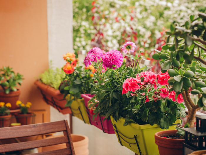 colorful flowers growing in pots on the balcony