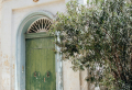 Mediterranes Flair, das Sichtschutz bietet: Entdecken Sie die besten Pflanzen für Terrasse und Balkon