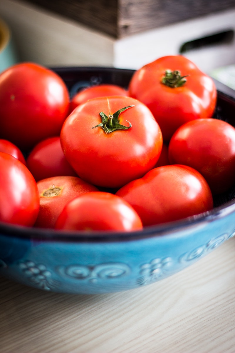 die wichtigsten tipps fuer erfolgreiche tomaten erfahren sie hier