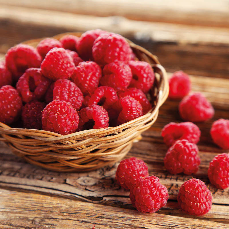 gesundes fruehstueck zum abnehmen mit himbeeren