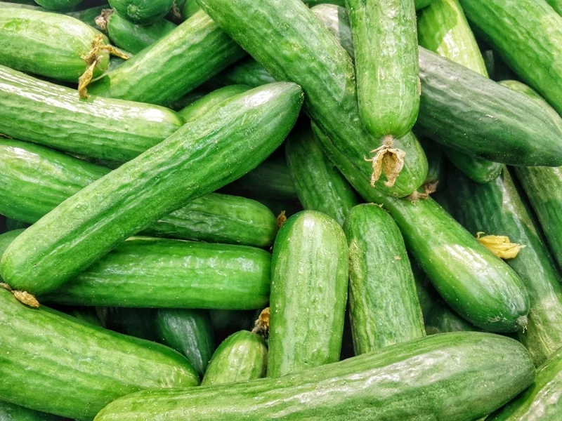 gurkenschale niemals wegwerfen viele gurken gesundheit