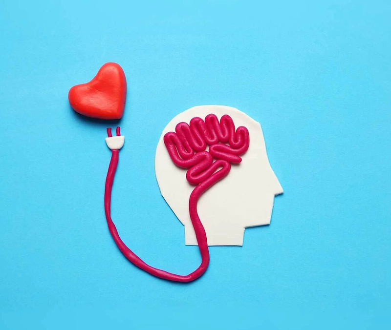 illusion bilder ein gehirn mit herz