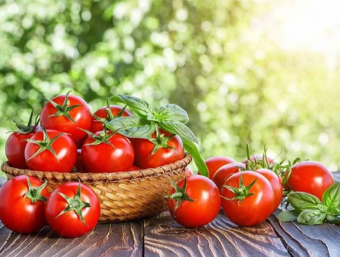 info und tipps vom profi wie koennen sie tomaten duengen