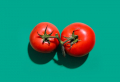 Tricks für eine reiche Tomatenernte: Pflegetipps für Tomaten 2022