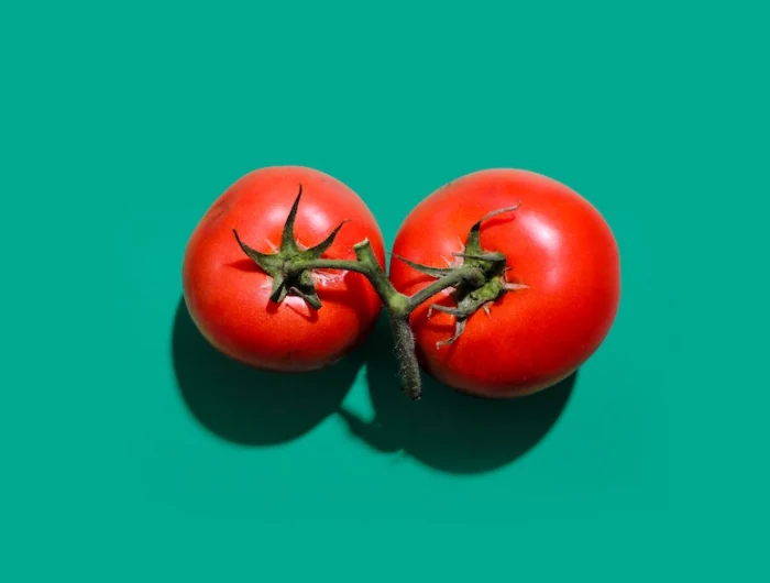 tipps fuer den anbau von tomaten ultimative tipps hier