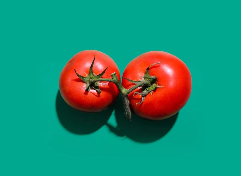 tipps fuer den anbau von tomaten ultimative tipps hier