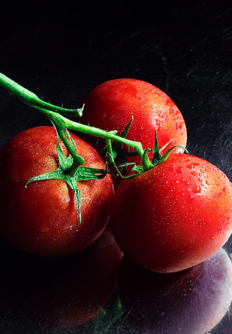 tipps fuer eine reiche ernte von tomaten fuer 2022