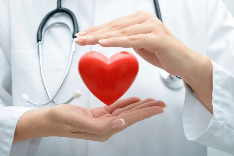 doctor holding heart