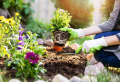 Gartenideen für wenig Geld: Die besten Empfehlungen, mit denen Sie Geld sparen!