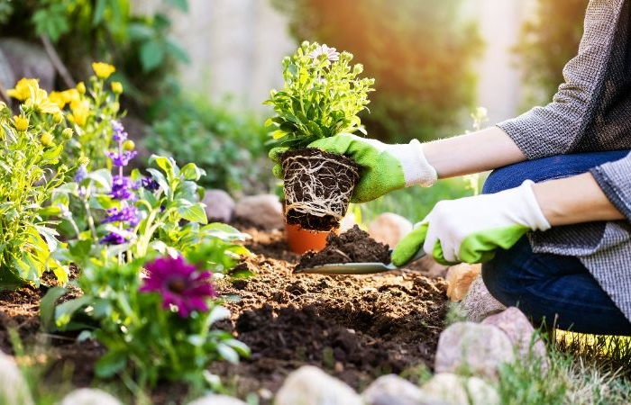 Gartenideen für wenig Geld: Die besten Empfehlungen, mit denen Sie Geld ...