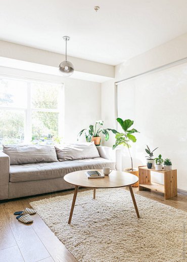 wohnzimmer modern gemuetlich deko mit einbindung von pflanzen