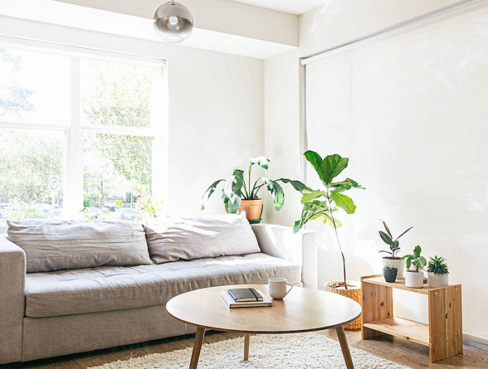 wohnzimmer modern gemuetlich deko mit einbindung von pflanzen