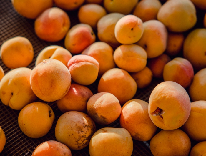 5 sommer fruechte aprikosenkern pflanzen tipps hilfreich