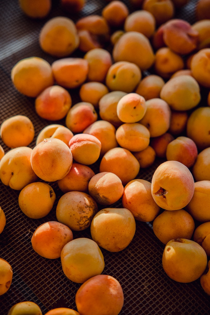 5 sommer fruechte aprikosenkern pflanzen tipps hilfreich