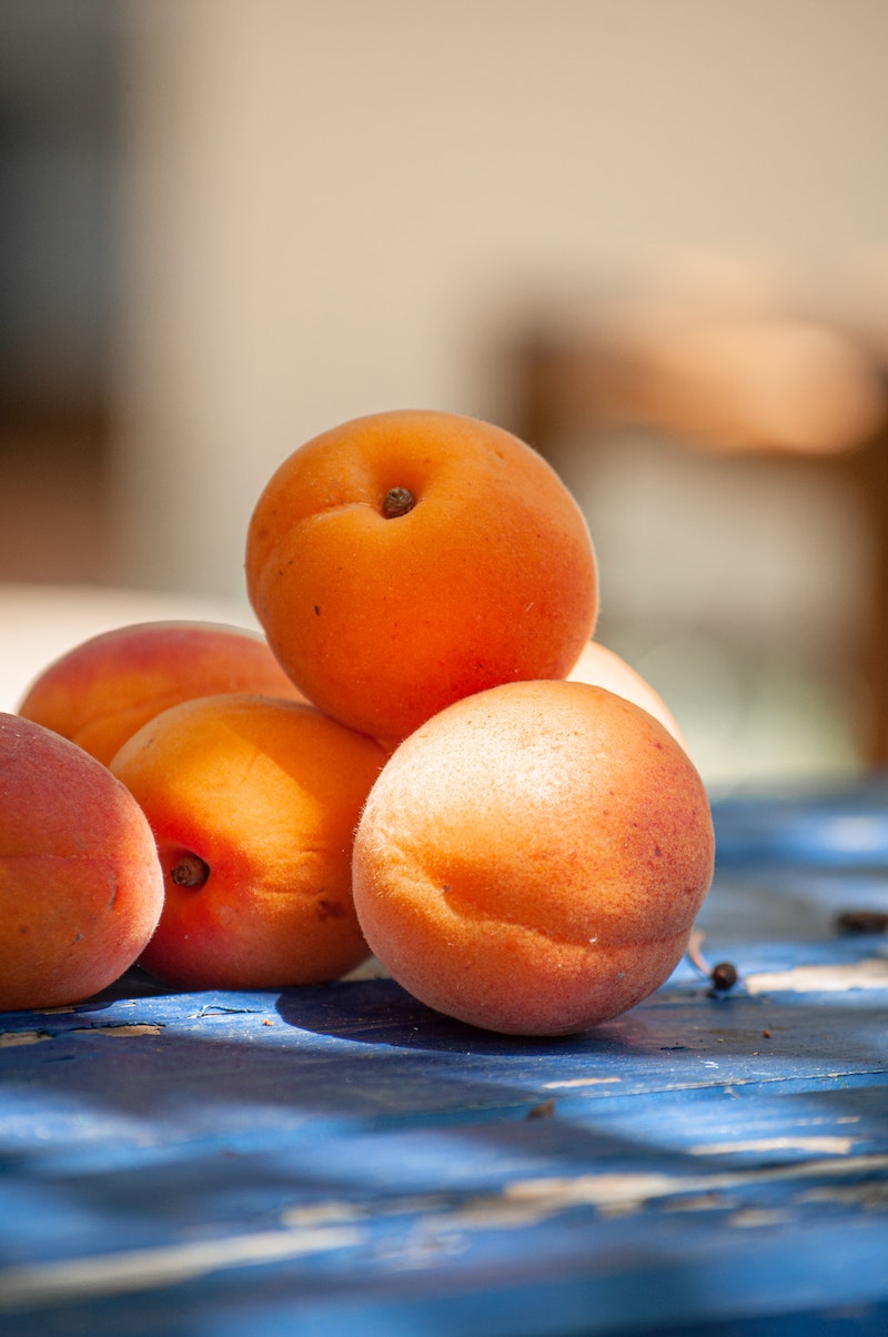 7 aprikosen selber ziehen im eigenen garten tipps