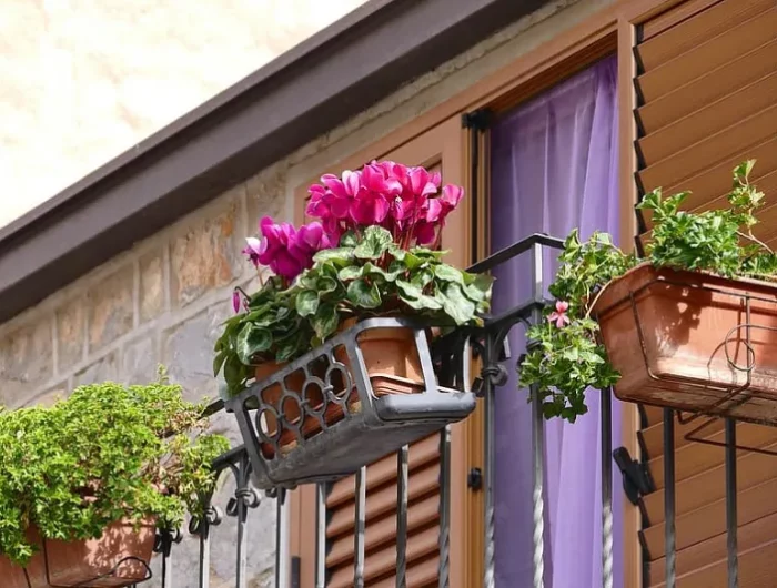 balkonpflanzen schatten und sommerblumen fuer balkon