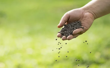 bie duenger laesst sich leicht selbst herstellen