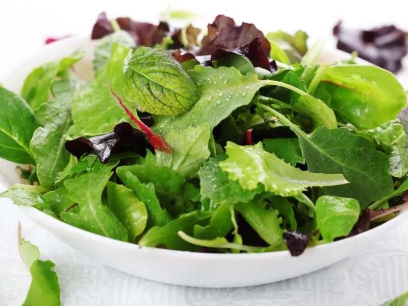 blattsalat salate zum abnehmen