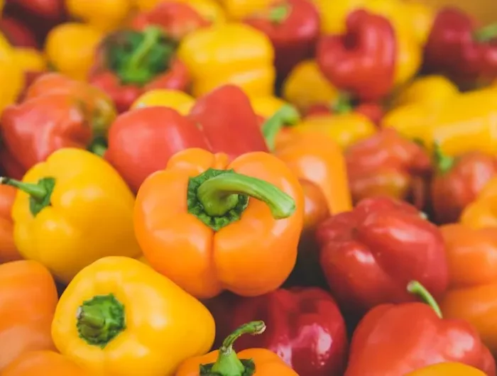 die neuesten tipps fuer den erfogreichen paprika anbau und duengen