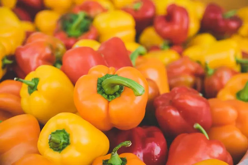 die neuesten tipps fuer den erfogreichen paprika anbau und duengen