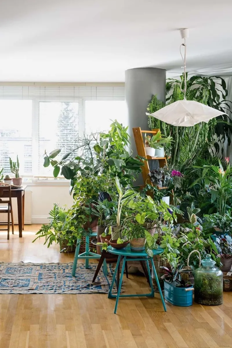 die richtige pflanzen fuer urban jungle wohnung und einrichtung
