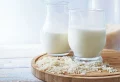 Reismilch selber machen: Wie können Sie es schnell und einfach zubereiten