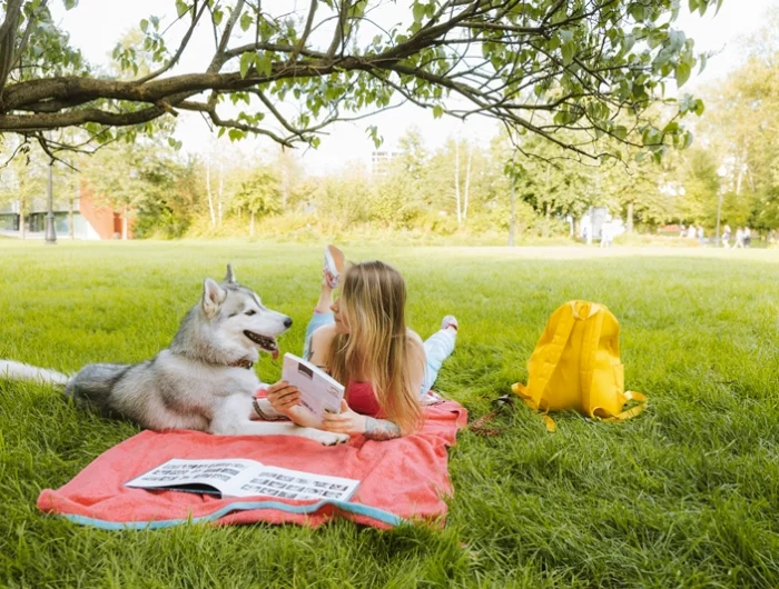haustiere bei hitze frau und hund picknick