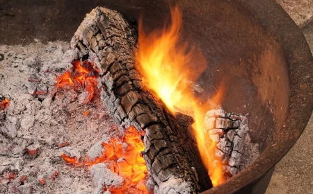 holzasche als vielseitiges hausmittel anwenden