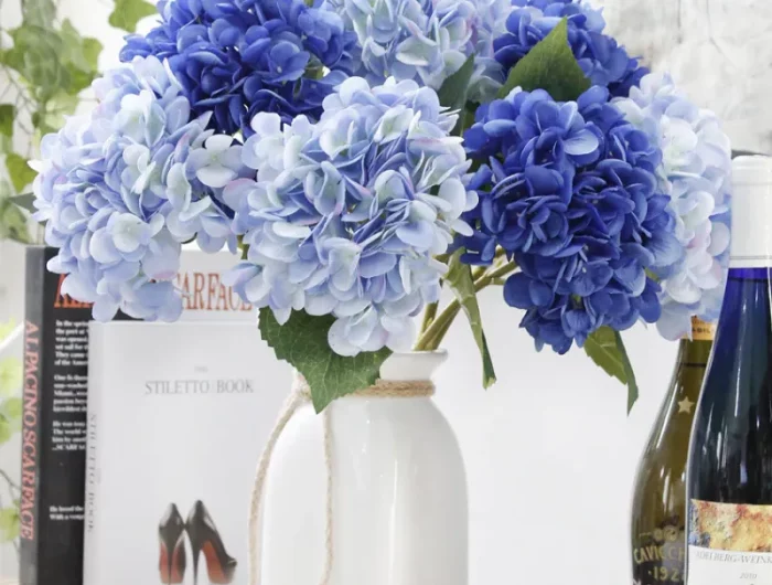 hortensien pflege im topf und in vase