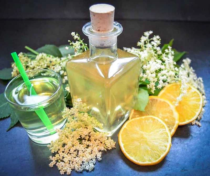 kann man holundersaft pur trinken holundersaft selber machen flasche mit korken frische holunderbluete zitronenscheiben