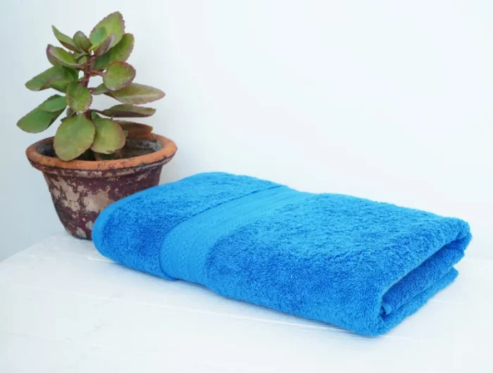 kleiner topf mit gruener pflanze und blaues handtuch