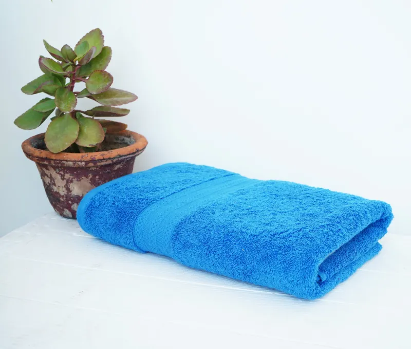 kleiner topf mit gruener pflanze und blaues handtuch