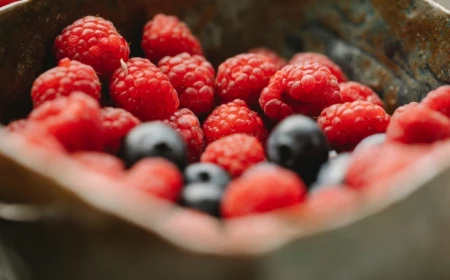 lebensmittel mit antioxidantien für kinder beere