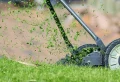 Mulchen mit Rasenschnitt: Erfahren Sie, wie Sie Rasenschnitt im Garten verwenden