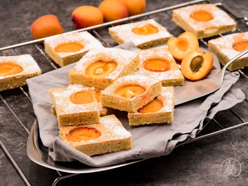 rezepte fuer aprikosenkuchen vom blech selber machen quadratstuecke aprikosenkuchen puderzucker