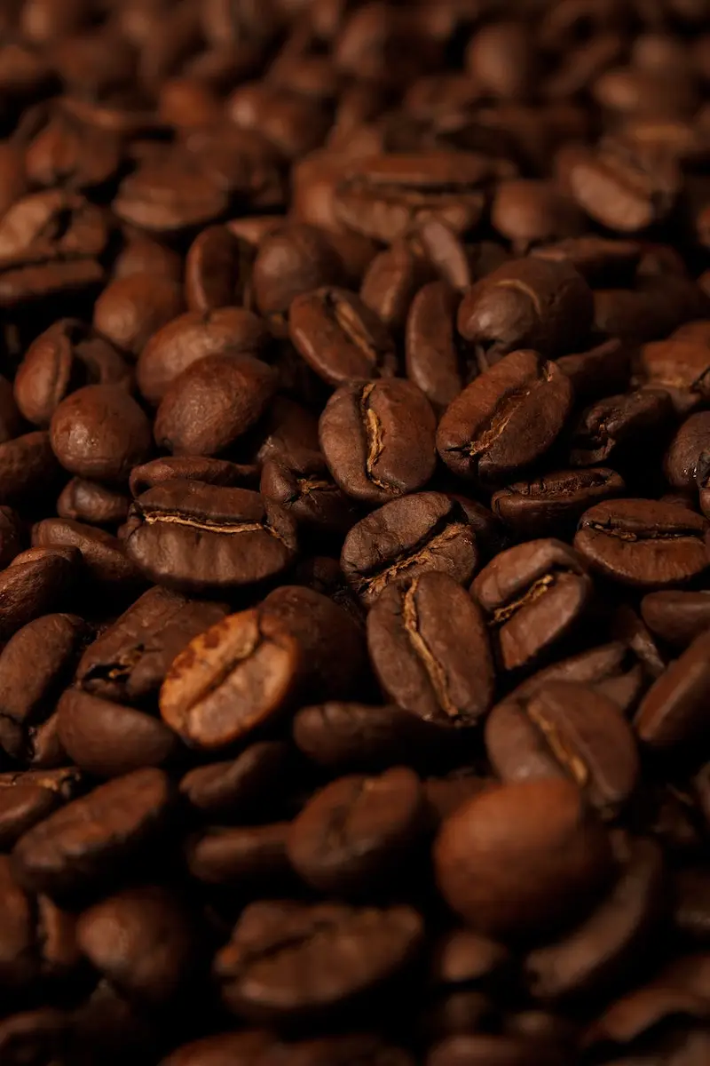 trockenes kaffeepulver ist ein natuerliches mittel gegen wespen