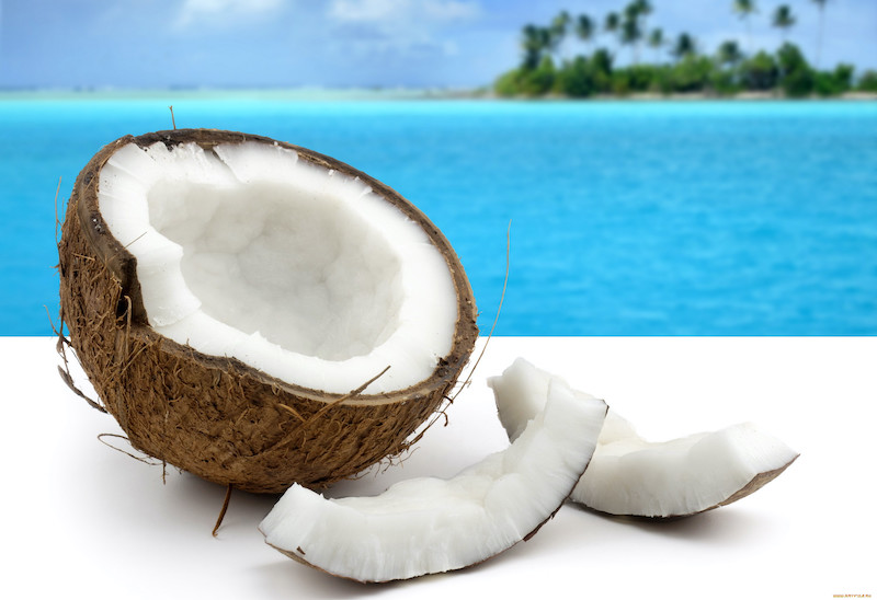 vegane kokosmilch selber machen so einfach geht es