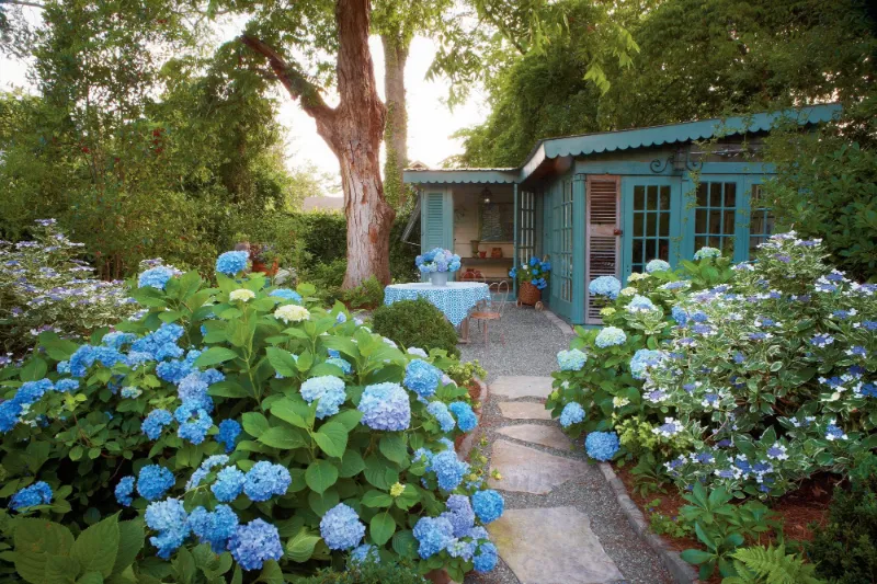 wann schneidet man hortensien wenn hortensie verblueht