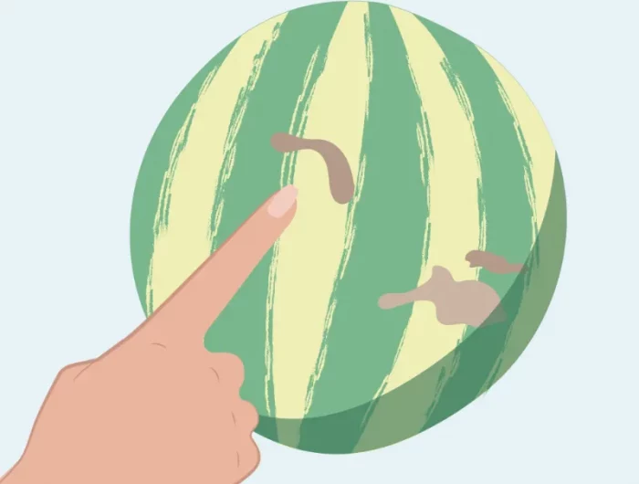 wassermelone schneiden trick und gute melone trick.jfif