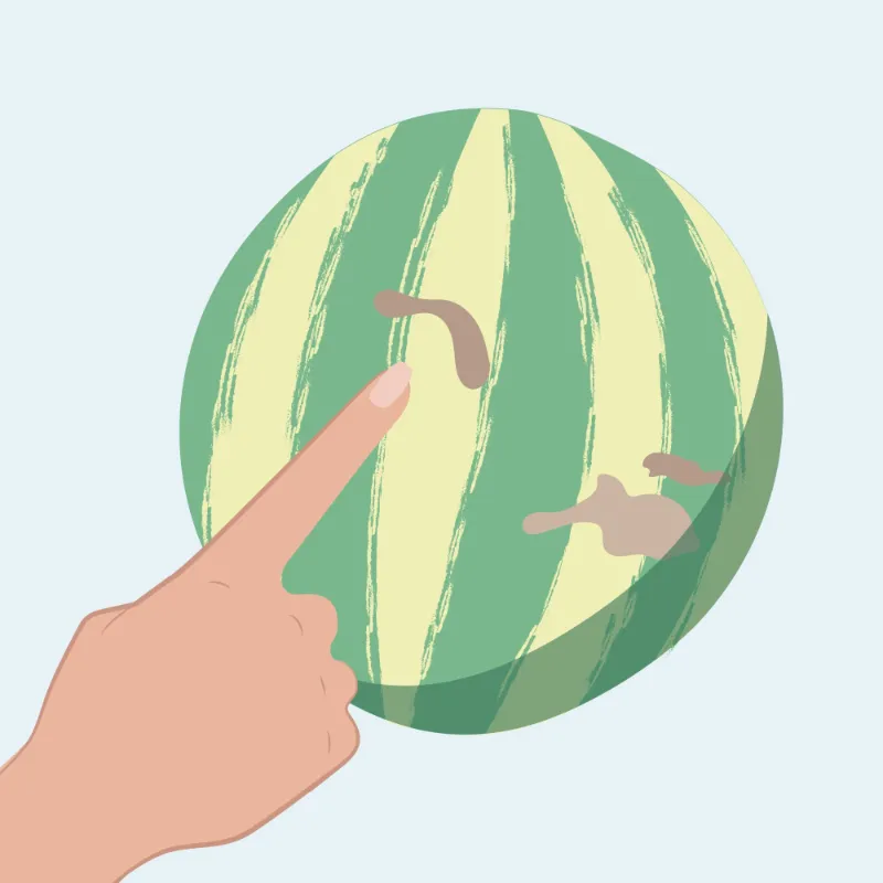 wassermelone schneiden trick und gute melone trick.jfif