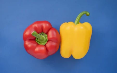 wie oft soll man paprika duengen erfahren sie hier