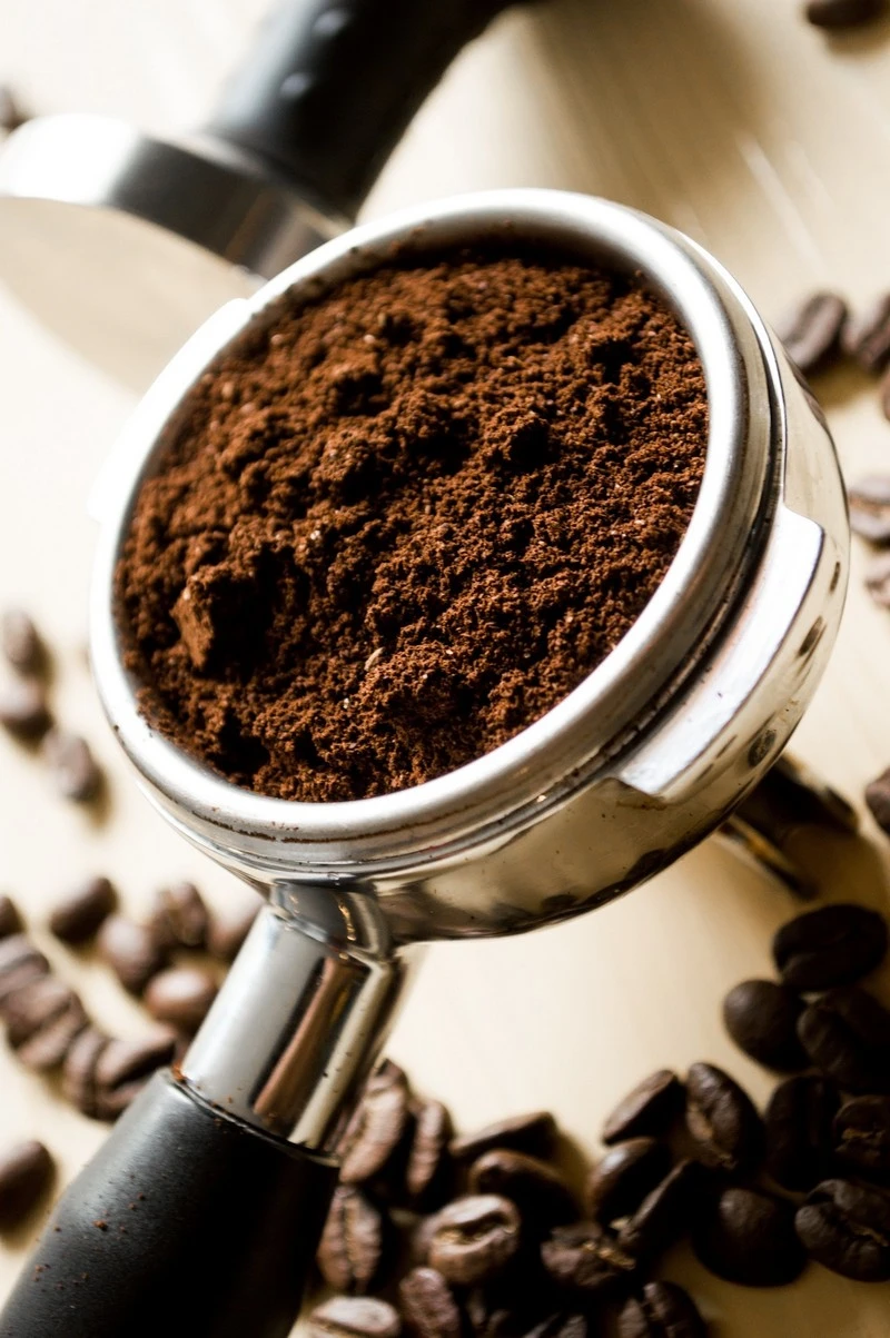 wuehlmaeuse bekaempfen biologisch wie lange bleiben wuehmaeuse kaffeesatz gegen wuehlmaeuse