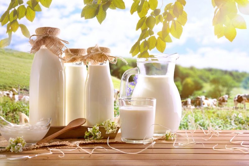 zucchini mit milch giessen welche temperaturen vertragen zucchini nachts flaschen frische milch