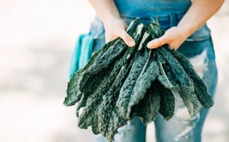 anbau von gruenkohl im eigenen garten wann und wie