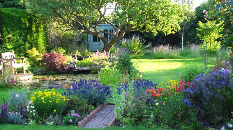 bauerngarten hitzenwelle welche pflanzen egnen sich