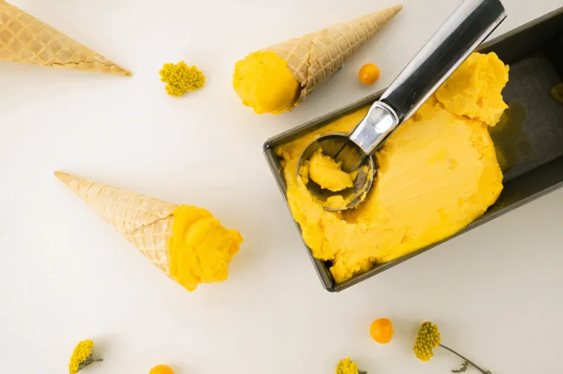 einfache rezepte mango joghurt eis selber machen ohne eismaschine