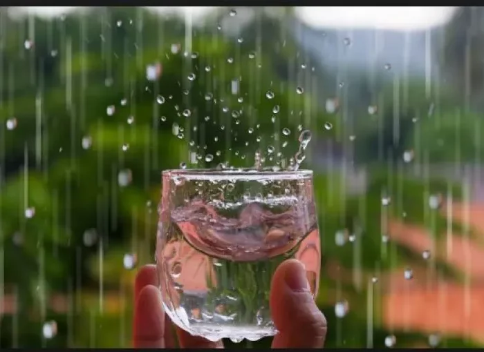 glas mit regenwassern kann man abgekochtes regenwasser trinken