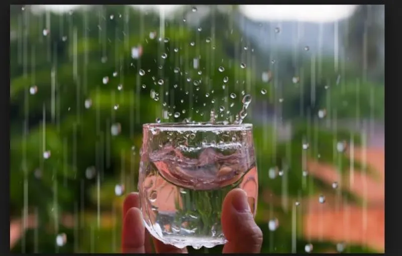 glas mit regenwassern kann man abgekochtes regenwasser trinken