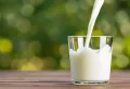 Ist Milch nun gesund, oder nicht für Ihren Organismus?